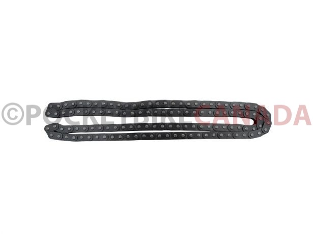 428_Chain_ _123_Links_124_Pins_1
