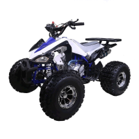 Blazer125SSport