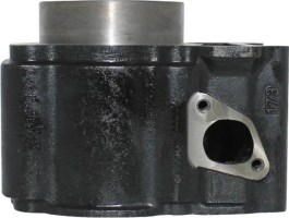 Cylinder Block - 300cc, 2x4, 4x4 and 4x4 IRS - 20A8257 - PBC1426F1