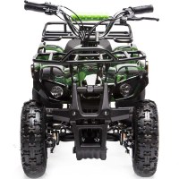 Electric_atv12