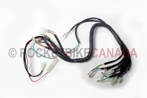 Wire Harness for 200cc 809/Beast ATV Quad 4-Stroke - G1100010