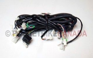 Wiring Harness for Little Chief 200cc UTV Side by Side ROV - G8010025