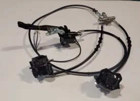Rear Brake Assembly