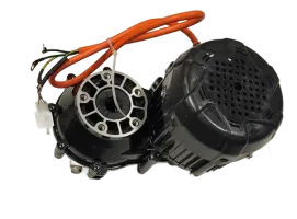 Motor (48v/60v 600W) - PBC1366XL