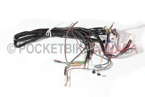 ms3wireharnessgio